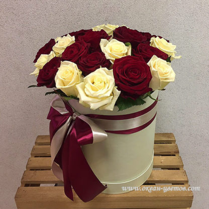 Красные белые розы в коробке 25 шт Воронеж