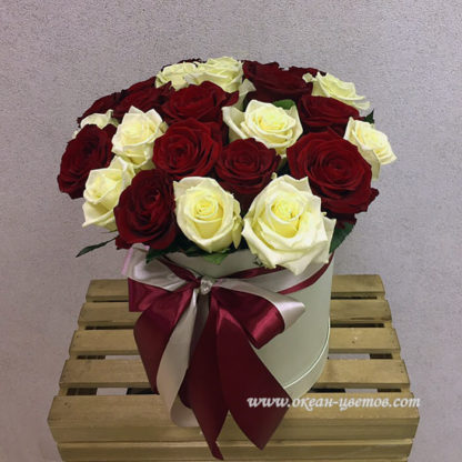 Красные белые розы в коробке 25 шт Воронеж 2