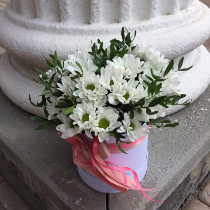 Белые ромашки хризантемы в коробке Воронеж